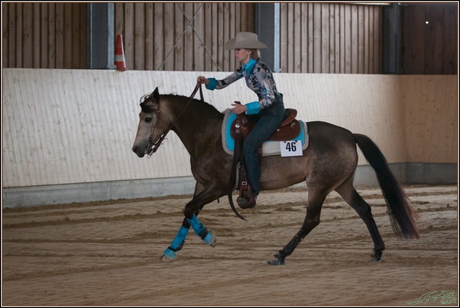Thalmeier 2015 164